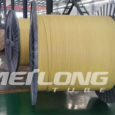 TP316L PVDF خط التحكم المغلف المسطح مع أنبوبين عالي الضغط