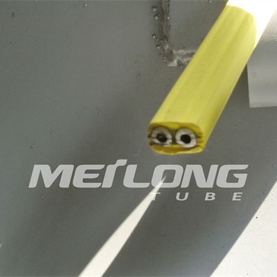 TP316L PVDF خط التحكم المغلف المسطح مع أنبوبين عالي الضغط