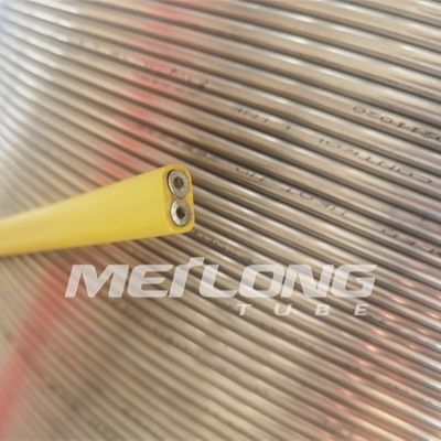 TP316L PVDF خط التحكم المغلف المسطح مع أنبوبين عالي الضغط